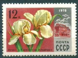 Flowers - 12k Iris and Lenin Central Museum (esimerkkikuva)