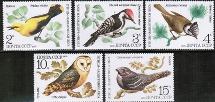 Birds (5) (esimerkkikuva)