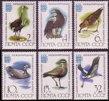 Rare birds (6) (esimerkkikuva)