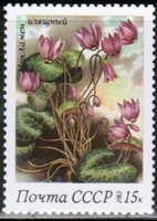 Spring Flowers - 15k Cyclamen elegans (esimerkkikuva)