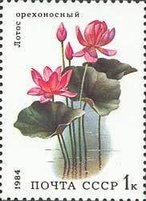 Aquatic Plants - 1k Lotus (esimerkkikuva)