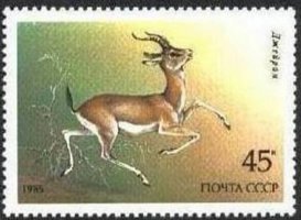 Endangered Wildlife - 45k Goitered Gazelle (Gazella subgutturosa) (esimerkkikuva)