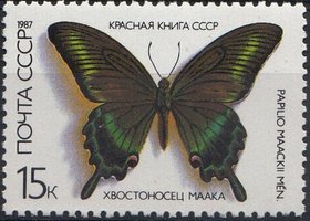 Butterflies - 15k Papilio maackii (esimerkkikuva)