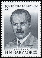 Nikolai Ivanovich Vavilov (1887-1943), botanist (esimerkkikuva)