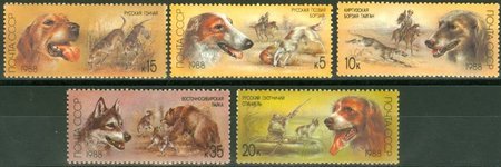 Hunting Dogs (5) (esimerkkikuva)