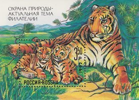 Siberian Tiger (Panthera tigris altaica) Souvenir Sheet (esimerkkikuva)