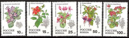Flowers (5) (esimerkkikuva)
