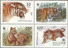 Ussurian Tiger WWF (block of 4) (esimerkkikuva)