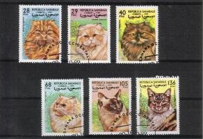 Cats (6) (sample image)