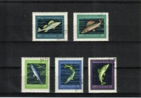 Fishes (esimerkkikuva)