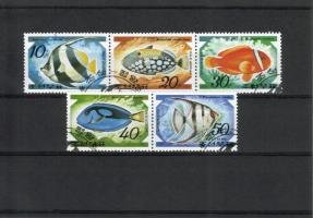 Fishes, PHILANIPPON \'91 II (esimerkkikuva)