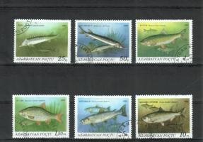 Fish (esimerkkikuva)