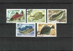 Food Fish (sample image)