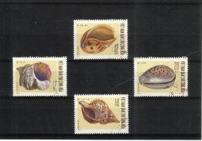Marine snails (esimerkkikuva)