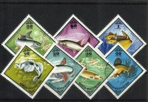 Various Fish (esimerkkikuva)