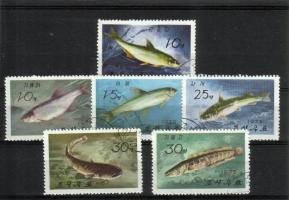 Fresh-Water Fish (esimerkkikuva)