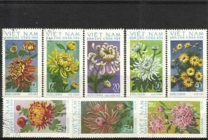 Chrysanthemums (sample image)