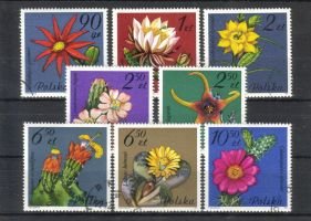 Flowering Succulent Plants (8) (esimerkkikuva)