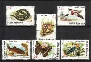 Animals (6) (esimerkkikuva)
