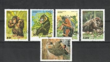 Primates (sample image)