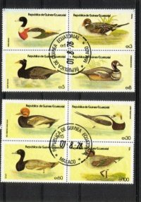 Waterbirds, ducks (sample image)