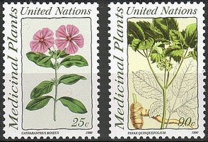 Medicinal plants (2) (esimerkkikuva)