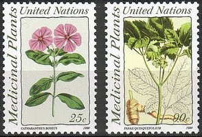 Medicinal plants (2) (sample image)