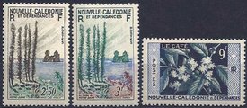 New Caledonia 1955 - The towers of Notre-Dame, coffee (3) New Caledonia 1955 - The towers of Notre-Dame, coffee (3)