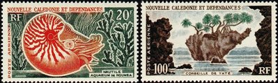 New Caledonia 1962 - Bellybutton Nautilus, Yaté (2) New Caledonia 1962 - Bellybutton Nautilus, Yaté (2)