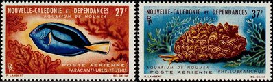 New Caledonia 1964 - Aquarium of Nouméa (2) New Caledonia 1964 - Aquarium of Nouméa (2)