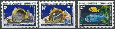 Uusi-Kaledonia 1973 - Aquarium of Nouméa (3)