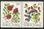 Norway 1995 - Berries 1995 (1x2 pair) y paper Norway 1995 - Berries 1995 (1x2 pair) y paper