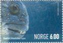 Norja 2004 - Marine Life 2/3 - Sea Wolf Norja 2004 - Marine Life 2/3 - Sea Wolf