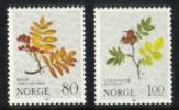 Norja 1980 - Mountain Flowers (2) Norja 1980 - Mountain Flowers (2)