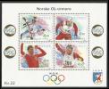 Norja 1993 - Winter Olympic Gold Medalists from Norway (Lillehammer 1994) 1993 Souvenir Sheet