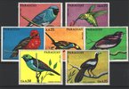 Paraguay 1973 - Birds (7)