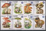 Paraguay 1985 - Mushrooms (7+abel) Paraguay 1985 - Mushrooms (7+abel)