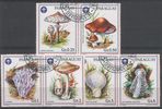 Paraguay 1986 - Mushrooms (5) Paraguay 1986 - Mushrooms (5)