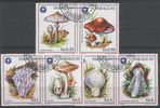 Paraguay 1986 - Mushrooms (5)