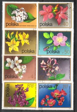 Puola 1972 - Flowering Shrubs (8) Puola 1972 - Flowering Shrubs (8)