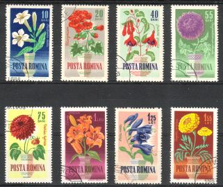 Romania 1964 - Flowers (8)