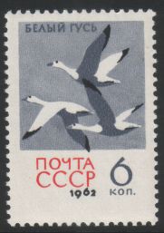 Russia SU (CCCP) 1962 - Protected birds 3/5 Snow geese