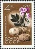 Russia SU (CCCP) 1964 - Agricultural Crops - 4k Potatoes