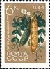 Venäjä NL (CCCP) 1964 - Agricultural Crops - 6k Peas