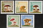 Venäjä NL (CCCP) 1964 - Mushrooms chalk + varnish covering paper (5+5)