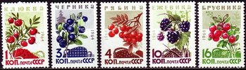 Russia SU (CCCP) 1964 - European Cranberries (5)