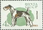 Venäjä NL (CCCP) 1965 - Dogs - 4k Fox Terrier Venäjä NL (CCCP) 1965 - Dogs - 4k Fox Terrier