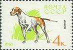 Venäjä NL (CCCP) 1965 - Dogs - 4k Pointer Venäjä NL (CCCP) 1965 - Dogs - 4k Pointer