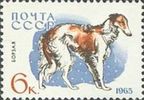 Venäjä NL (CCCP) 1965 - Dogs - 6k Borzoi Venäjä NL (CCCP) 1965 - Dogs - 6k Borzoi