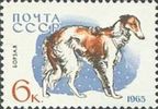 Venäjä NL (CCCP) 1965 - Dogs - 6k Borzoi